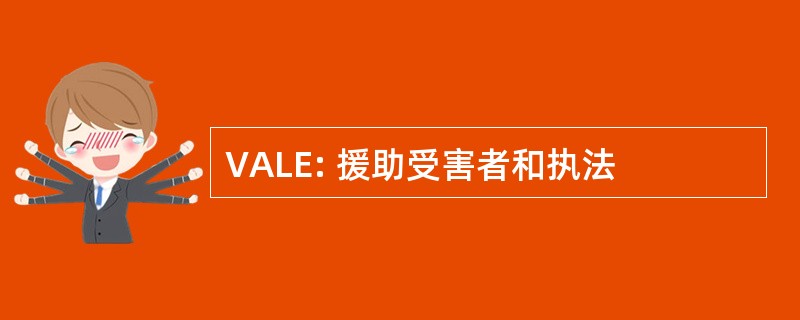 VALE: 援助受害者和执法