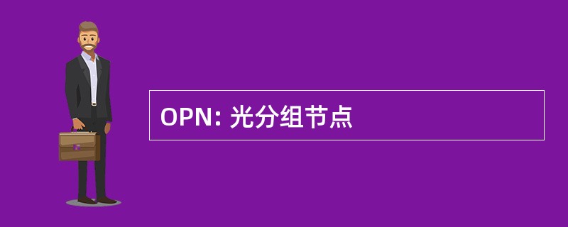 OPN: 光分组节点