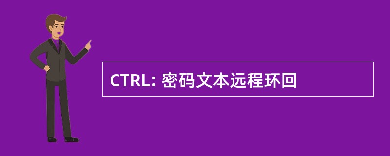 CTRL: 密码文本远程环回