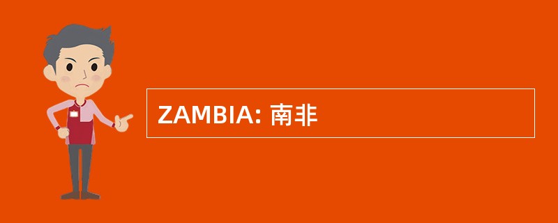 ZAMBIA: 南非