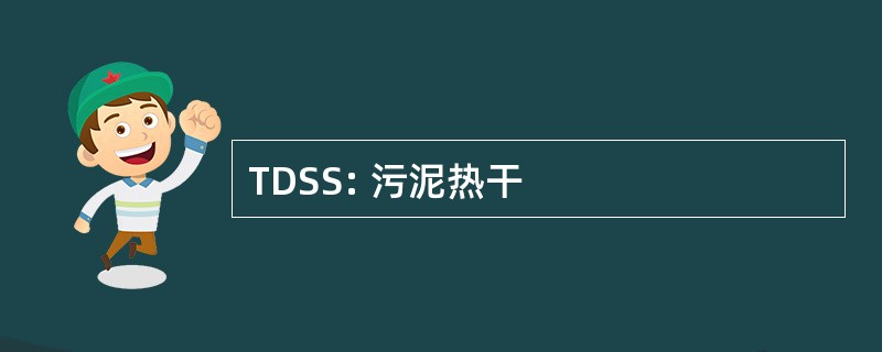 TDSS: 污泥热干