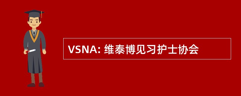 VSNA: 维泰博见习护士协会