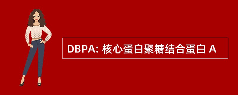 DBPA: 核心蛋白聚糖结合蛋白 A