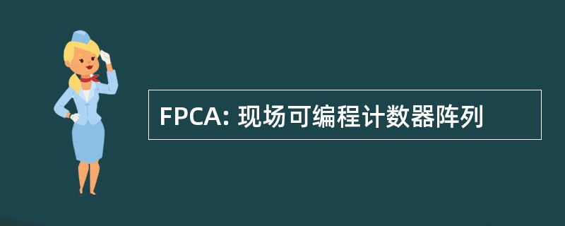 FPCA: 现场可编程计数器阵列