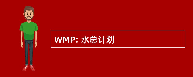 WMP: 水总计划