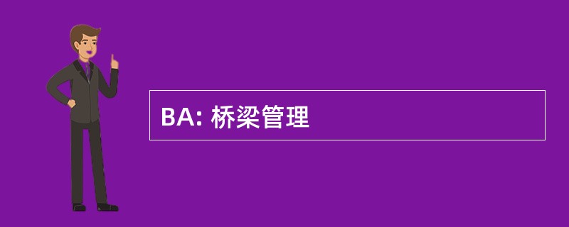 BA: 桥梁管理