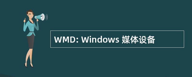 WMD: Windows 媒体设备