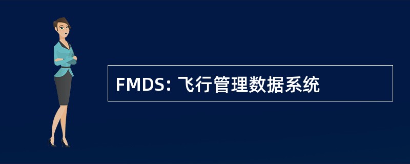 FMDS: 飞行管理数据系统