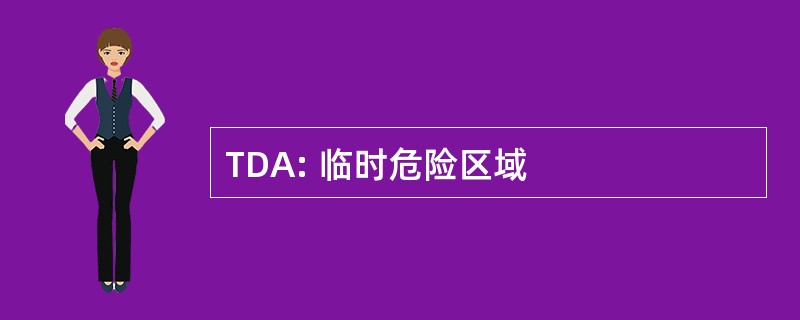 TDA: 临时危险区域