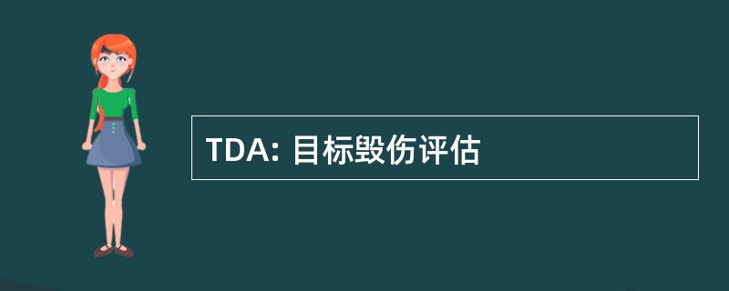 TDA: 目标毁伤评估