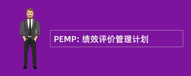 PEMP: 绩效评价管理计划