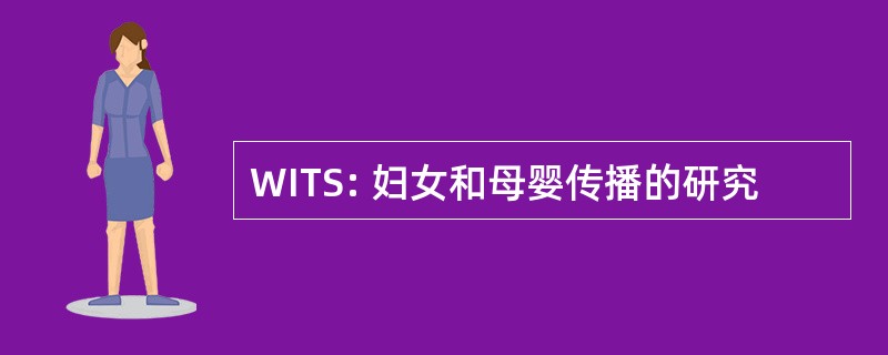 WITS: 妇女和母婴传播的研究