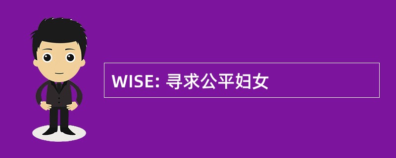 WISE: 寻求公平妇女