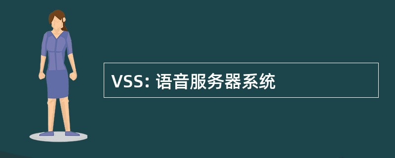 VSS: 语音服务器系统