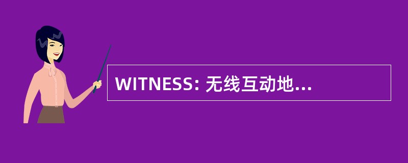 WITNESS: 无线互动地面网络系统和服务