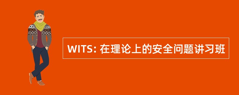 WITS: 在理论上的安全问题讲习班