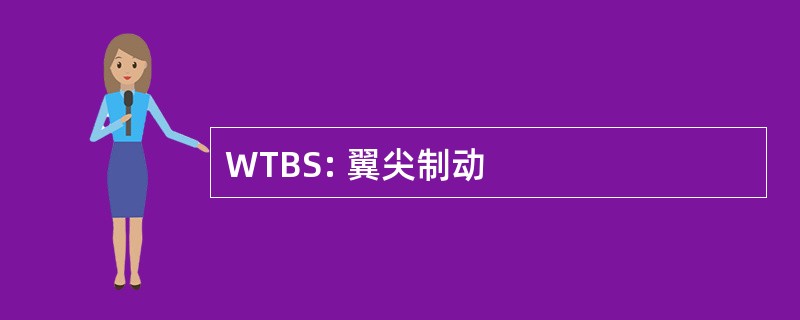 WTBS: 翼尖制动