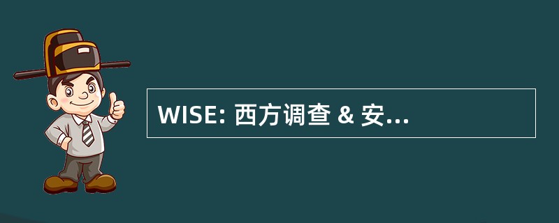 WISE: 西方调查 & 安全企业股份有限公司