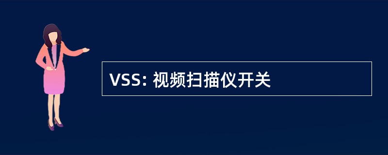 VSS: 视频扫描仪开关