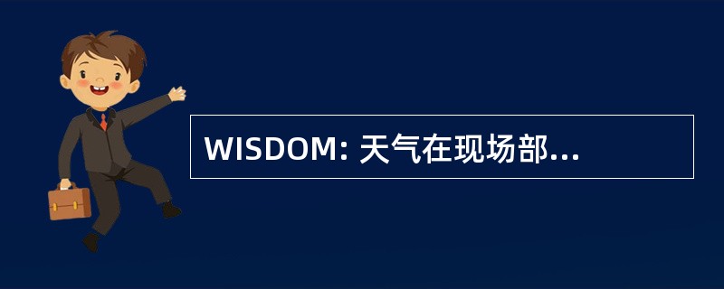 WISDOM: 天气在现场部署优化方法