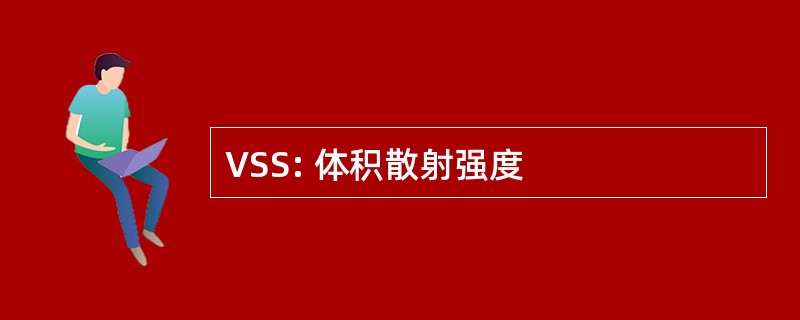 VSS: 体积散射强度