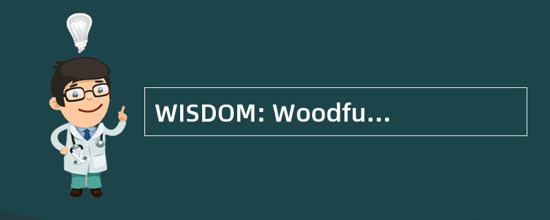 WISDOM: Woodfuel 集成供应 / 需求概述映射