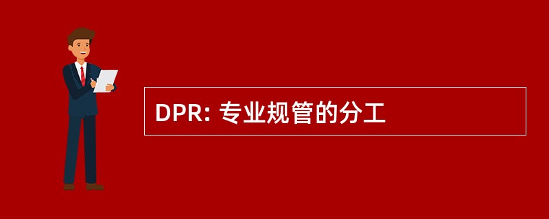 DPR: 专业规管的分工