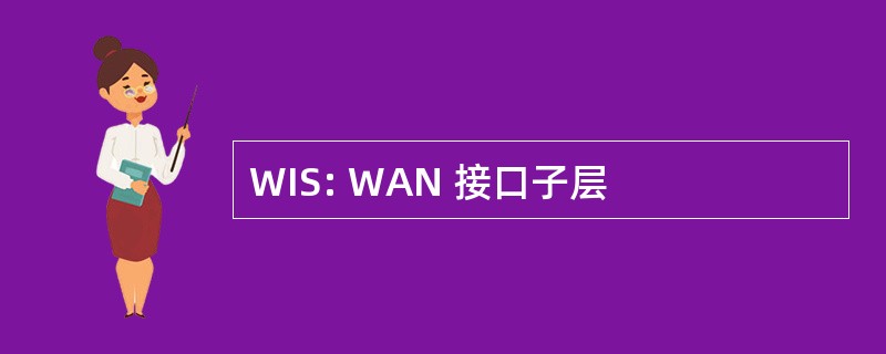 WIS: WAN 接口子层