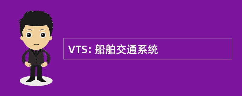 VTS: 船舶交通系统