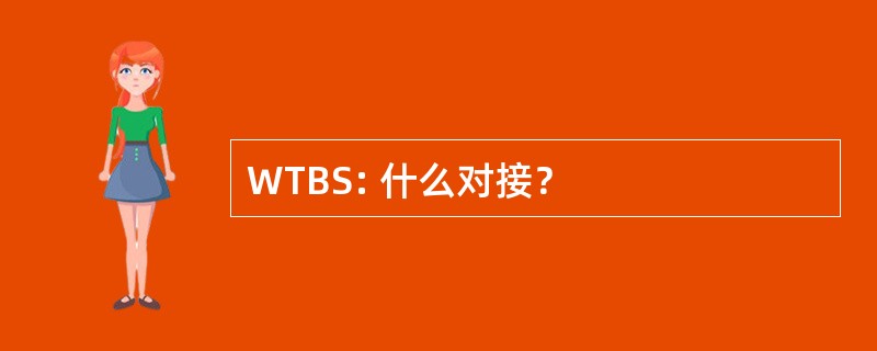 WTBS: 什么对接？