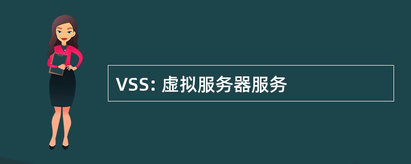 VSS: 虚拟服务器服务