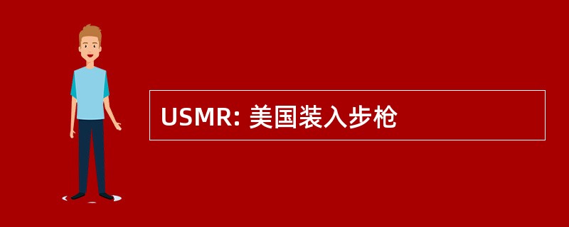 USMR: 美国装入步枪