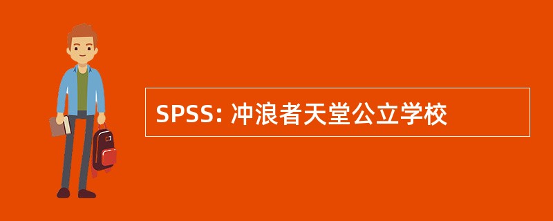 SPSS: 冲浪者天堂公立学校