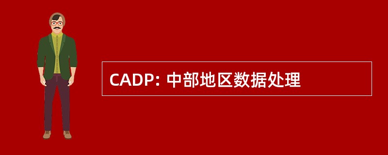 CADP: 中部地区数据处理