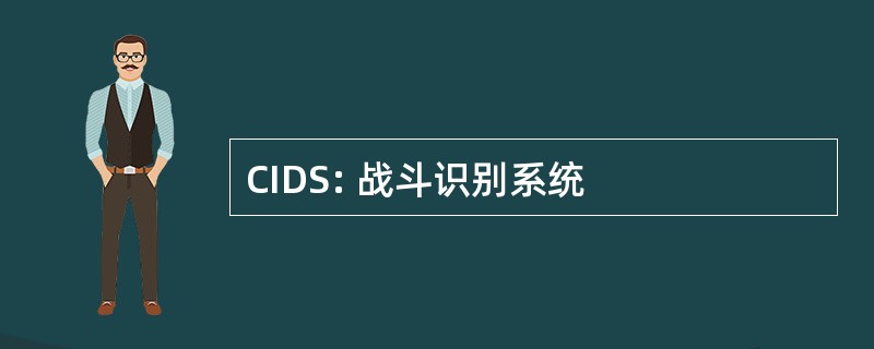 CIDS: 战斗识别系统