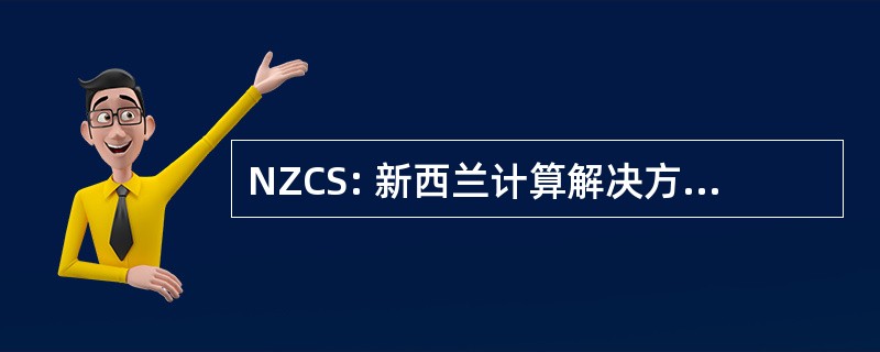 NZCS: 新西兰计算解决方案有限公司