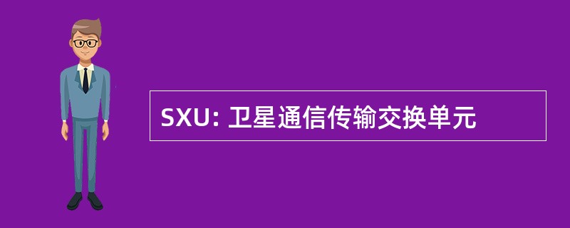 SXU: 卫星通信传输交换单元