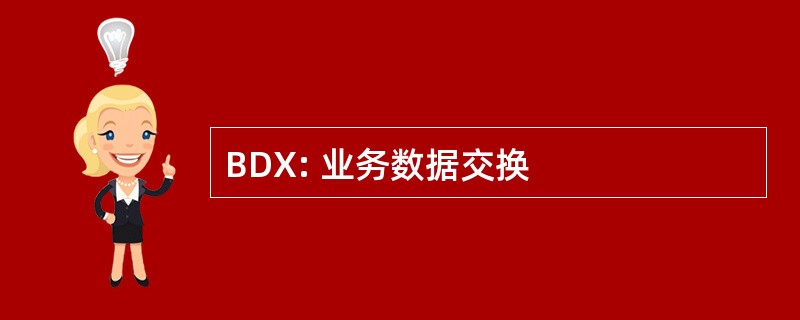 BDX: 业务数据交换