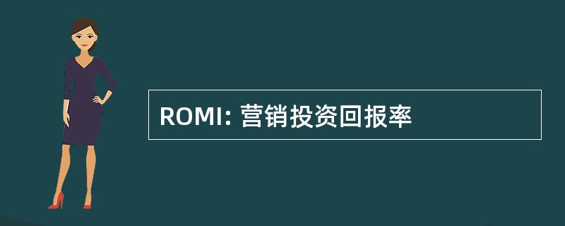 ROMI: 营销投资回报率