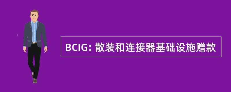 BCIG: 散装和连接器基础设施赠款