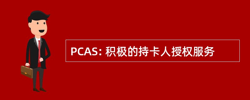 PCAS: 积极的持卡人授权服务