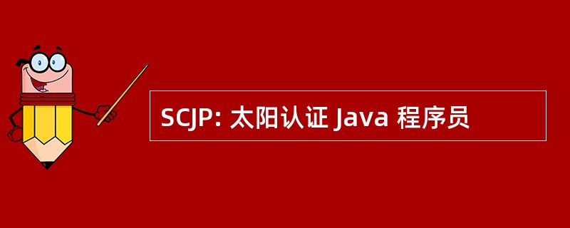 SCJP: 太阳认证 Java 程序员