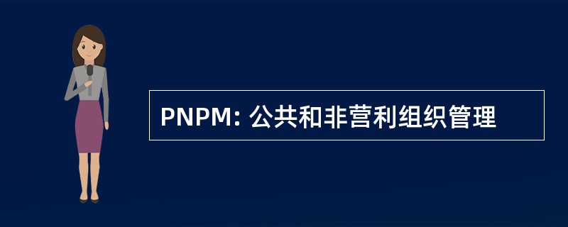 PNPM: 公共和非营利组织管理