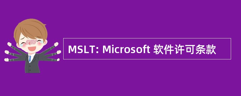 MSLT: Microsoft 软件许可条款