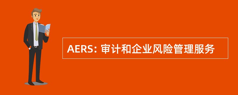 AERS: 审计和企业风险管理服务