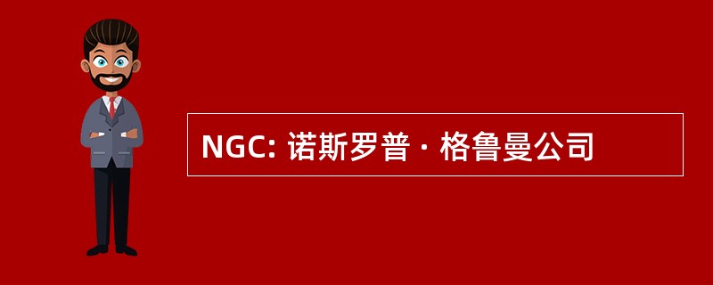 NGC: 诺斯罗普 · 格鲁曼公司