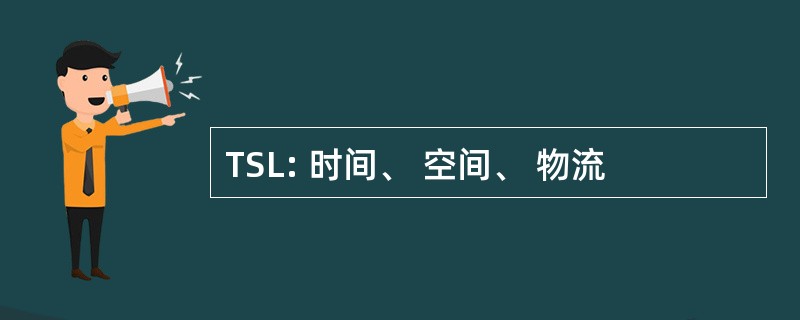 TSL: 时间、 空间、 物流