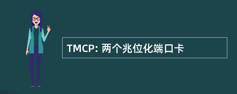 TMCP: 两个兆位化端口卡