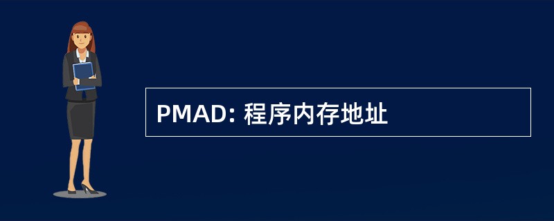 PMAD: 程序内存地址