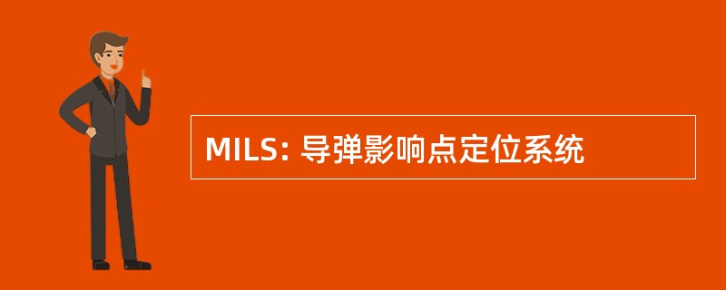 MILS: 导弹影响点定位系统